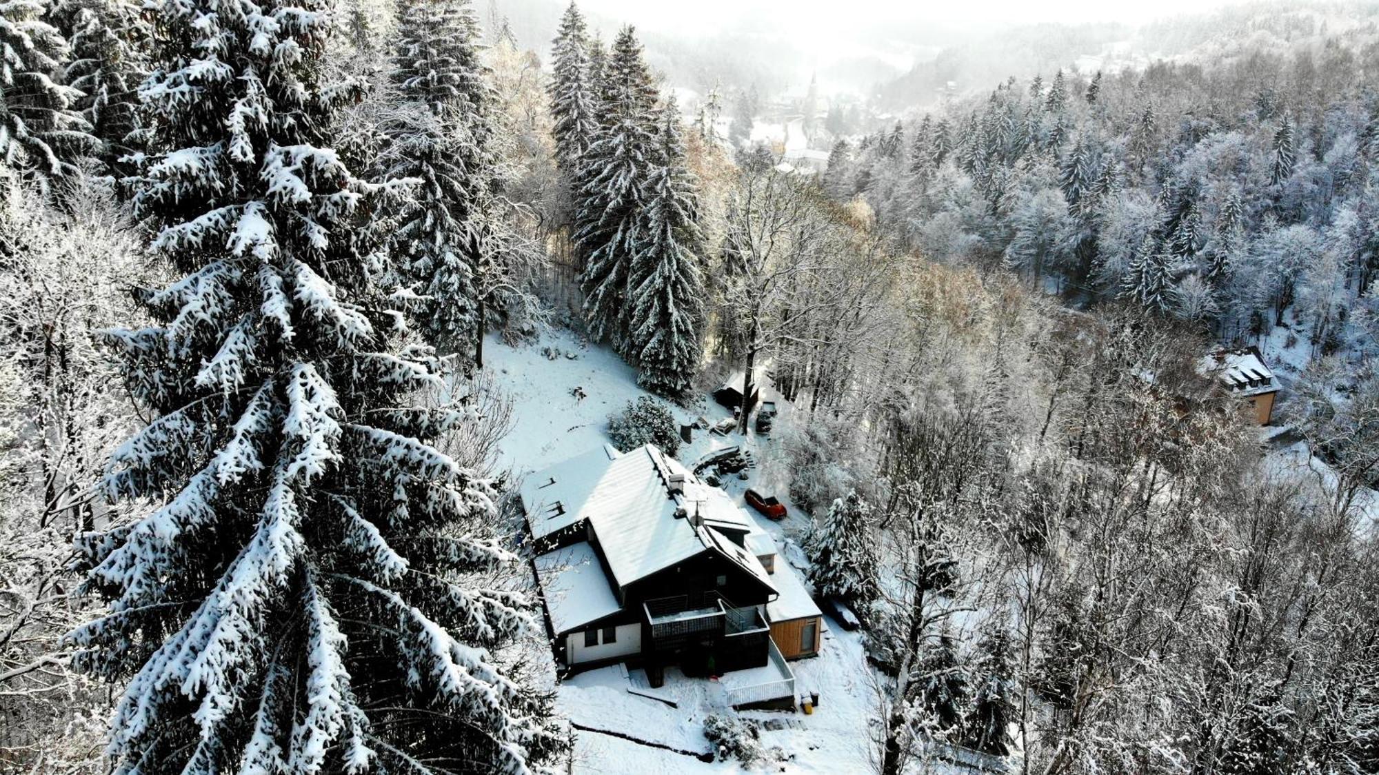 Apartamento Jizerina Bedřichov Exterior foto